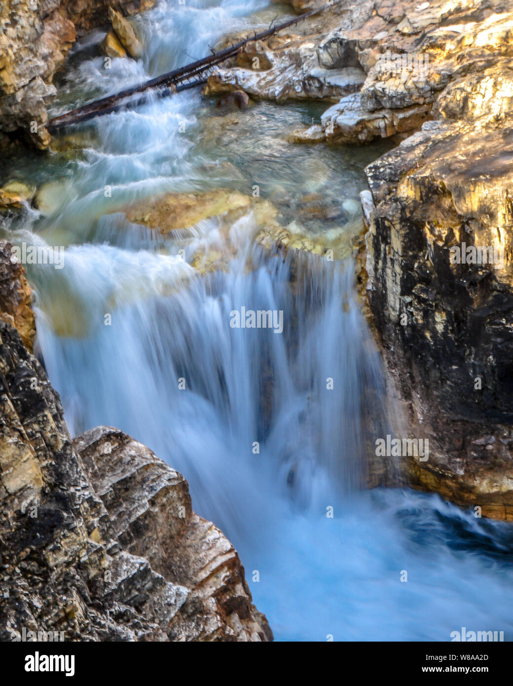 Das Wasser rauscht durch Marble Canyon, Kootenay National Park, British Colombia Stockfoto