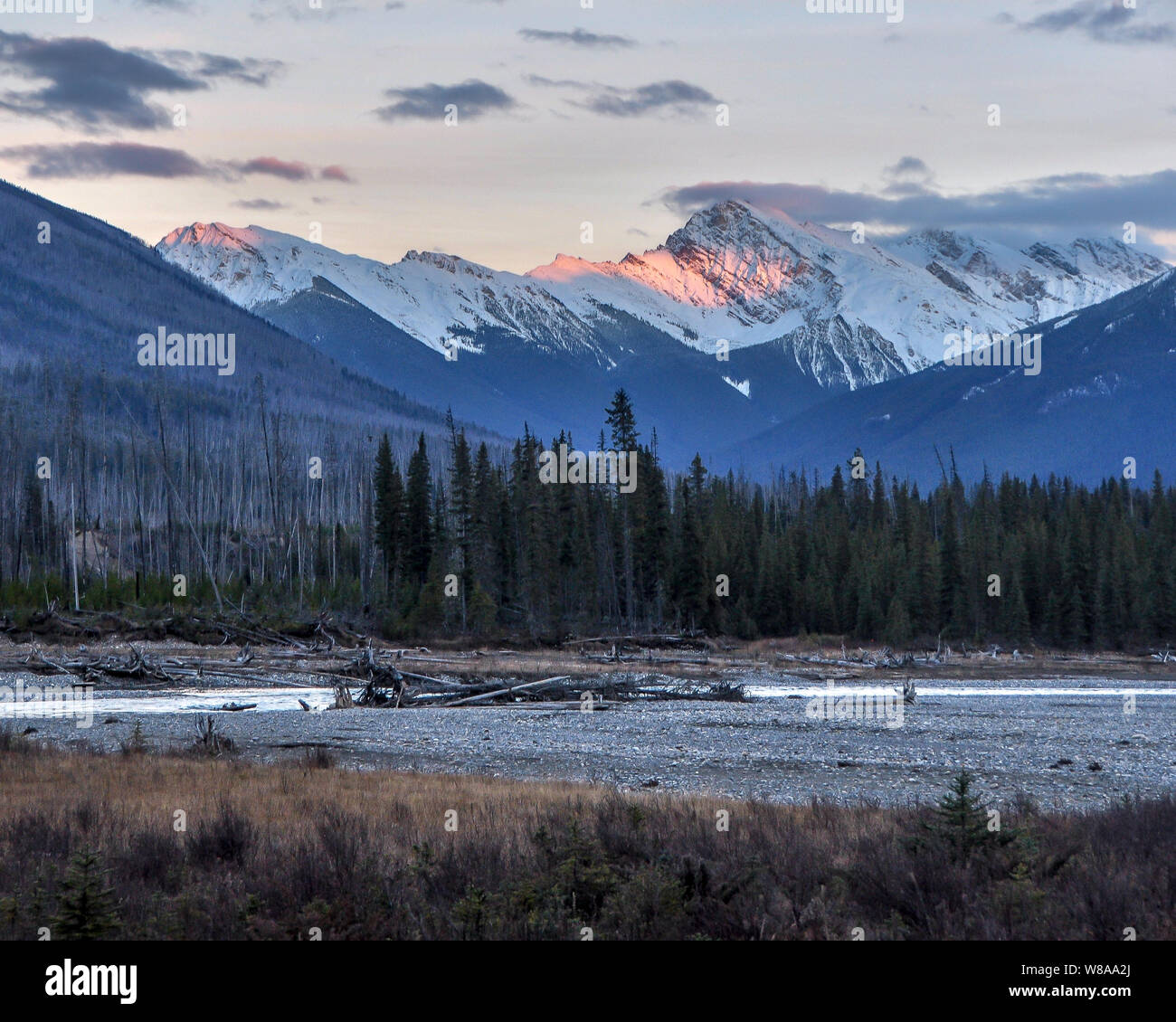 Licht der untergehenden Sonne hits Assiniboine Berg in Kootenay National Park Stockfoto