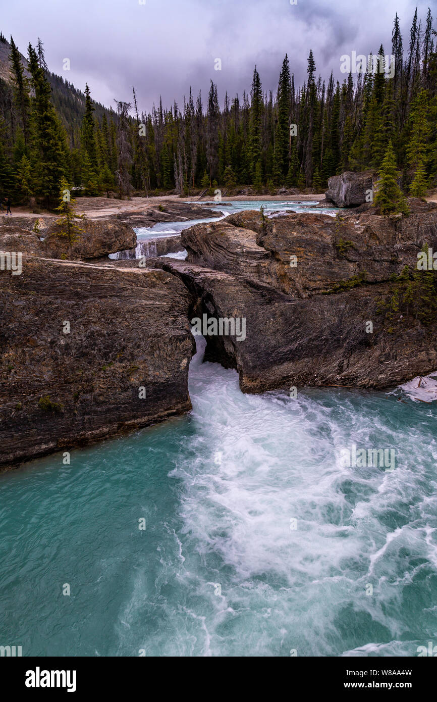 Ein bewölkter Tag im natürlichen Brücke im Yoho National Park in British Columbia, Kanada Stockfoto