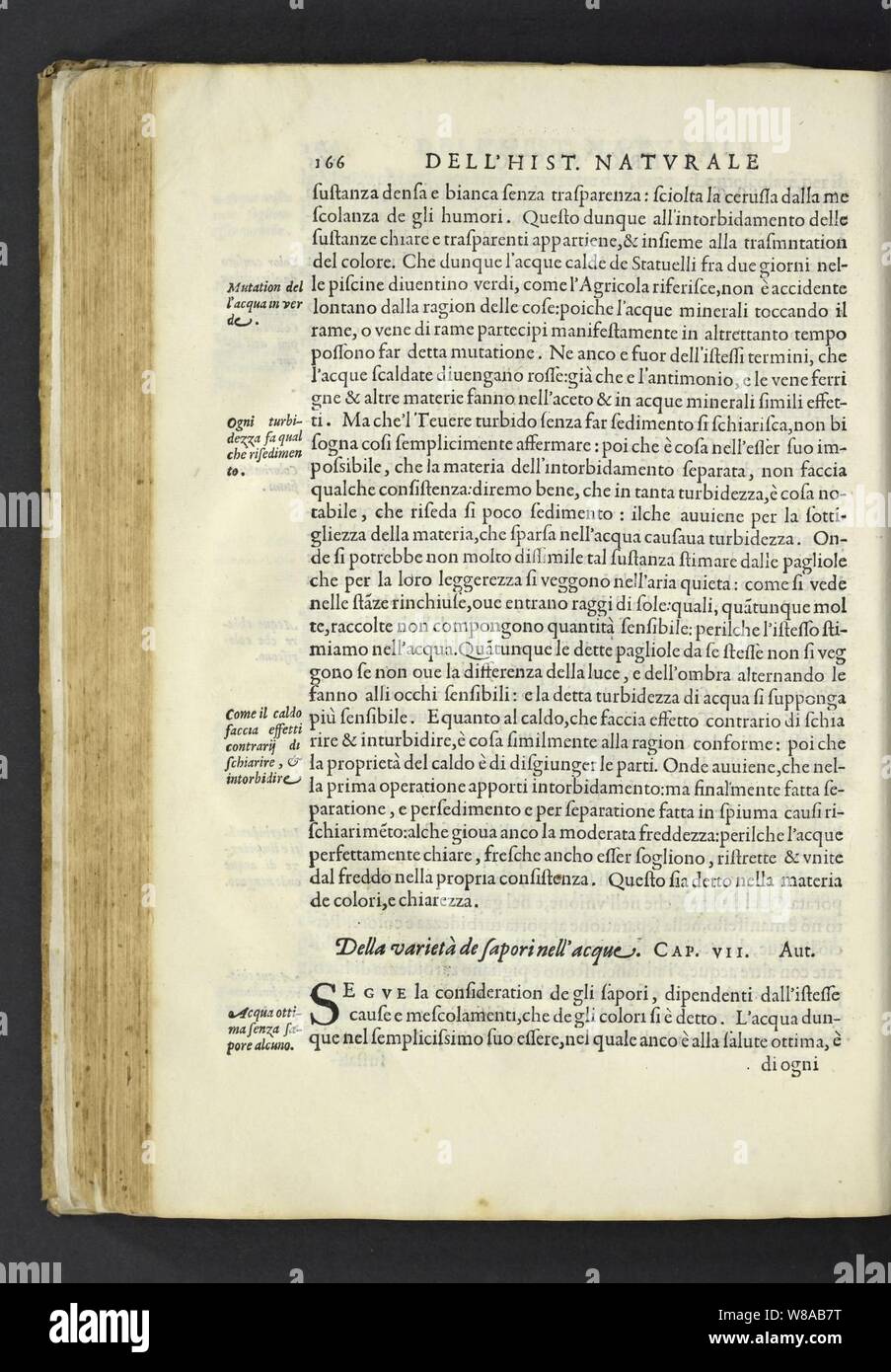 Dell'historia Natvrale di Ferrante Imperato Napoletano Libri XXVIII Stockfoto