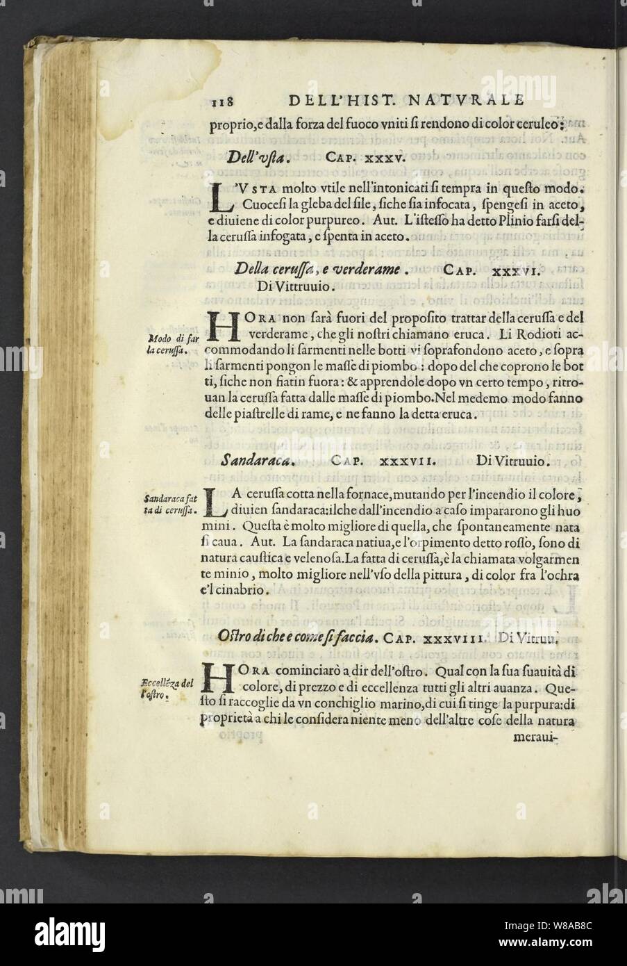 Dell'historia Natvrale di Ferrante Imperato Napoletano Libri XXVIII Stockfoto