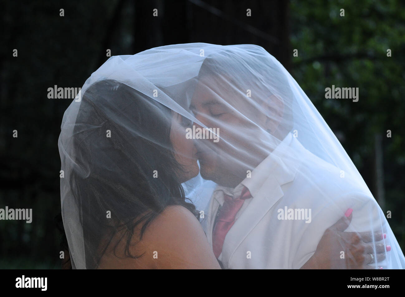 Eine Hochzeit Bild der Jungvermählten unter der Bräute Schleier zu küssen. Stockfoto