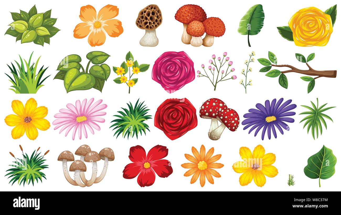 Große Gruppe von isolierten Objekten Thema - Blumen Abbildung Stock Vektor