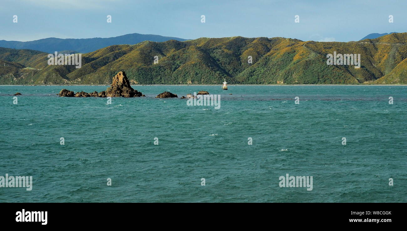 Kirchturm Rock im Hafen von Wellington, durch eine Boje, mit Ginster blühen alle über den östlichen Hügeln gekennzeichnet Stockfoto