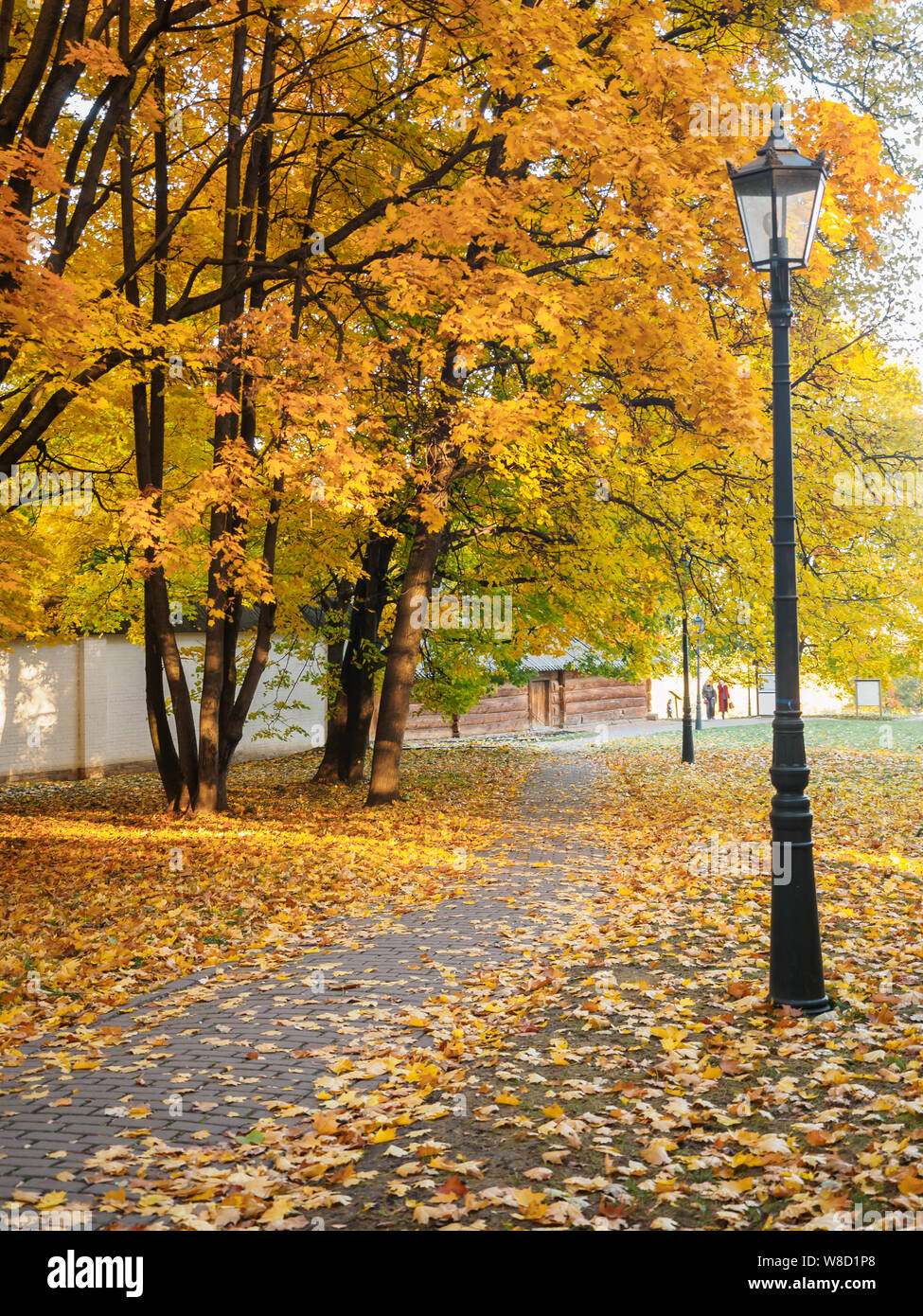 Orange Gelb ahorn Laub im Herbst Park. Schönen Herbst Hintergrund. Lonely persönliche Laterne im Herbst Square Stockfoto