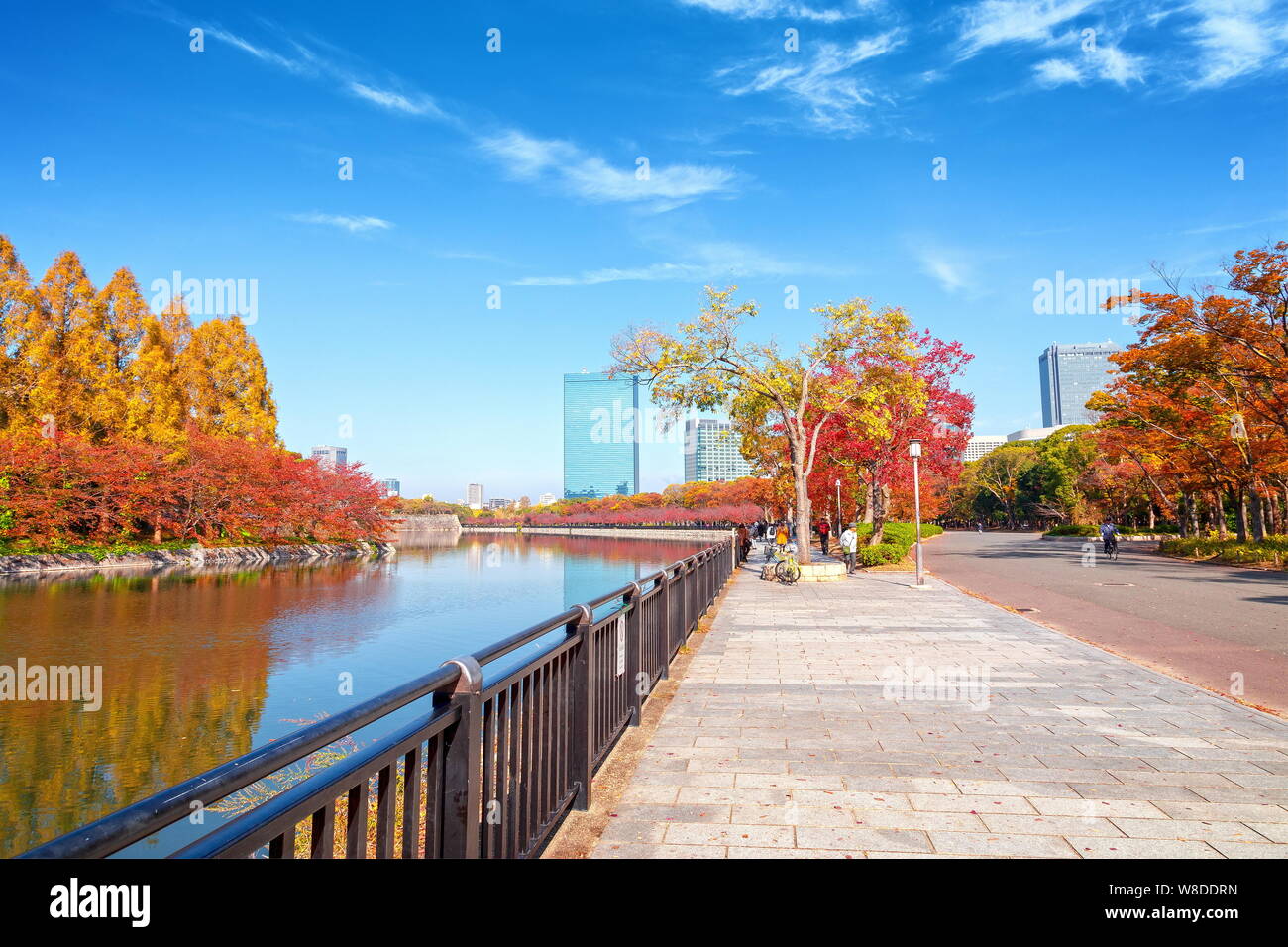 Osaka, Japan - 21 November 2018 - Die herbst-Park in der Bürger Forest Park in der Nähe der Burg von Osaka, Osaka, Japan, farbig Stockfoto