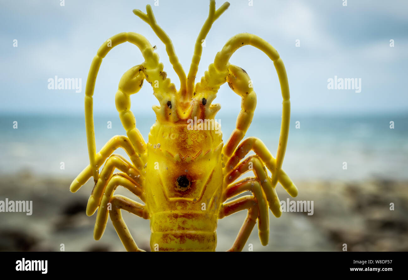 Müll-problem im Meer Stockfoto