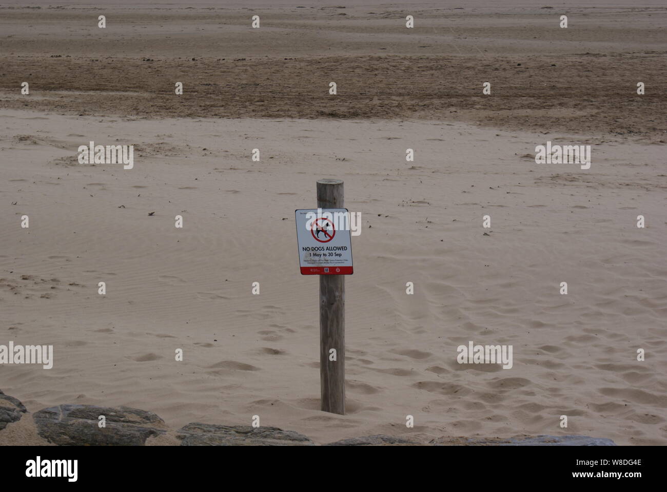 Eine keine Hunde am Strand im Sand von Weston-super-Mare Strand erlaubt Stockfoto