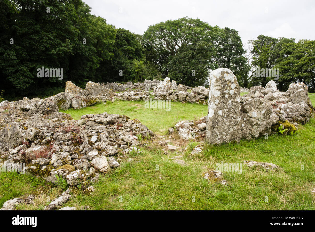 Din Lligwy (Din Llugwy) Besiedlung Reste einer keltischen Hütte Kreis Hof zurück bis in die Römerzeit zurückgeht. Moelfre, Isle of Anglesey, Wales, Großbritannien, Großbritannien Stockfoto