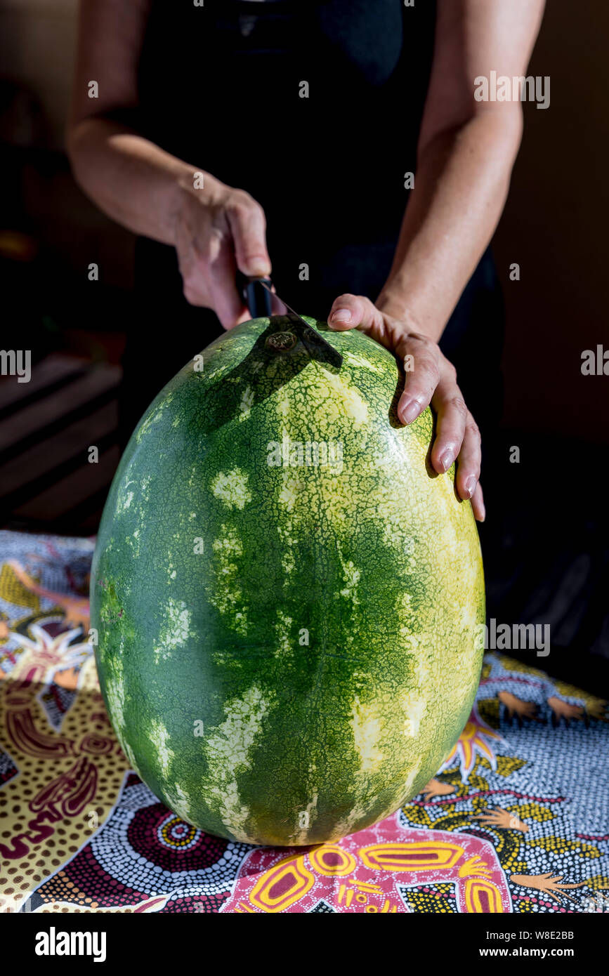 Eine Frau schneidet eine große Wassermelone auf einem Tisch mit einem farbigen Tischdecke bedeckt Stockfoto