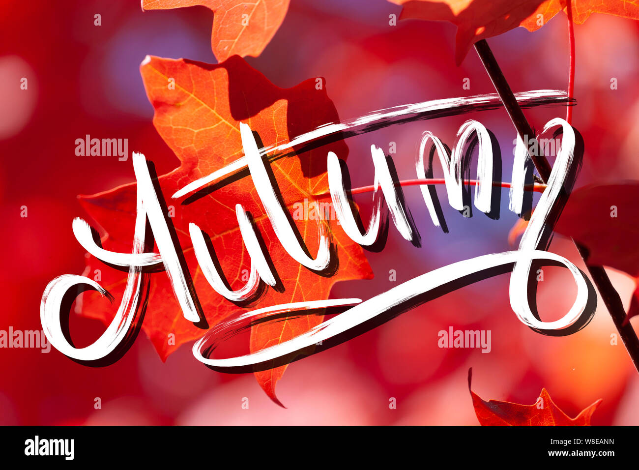 Hand lettering Fotos und Bildmaterial in hoher Auflösung Alamy