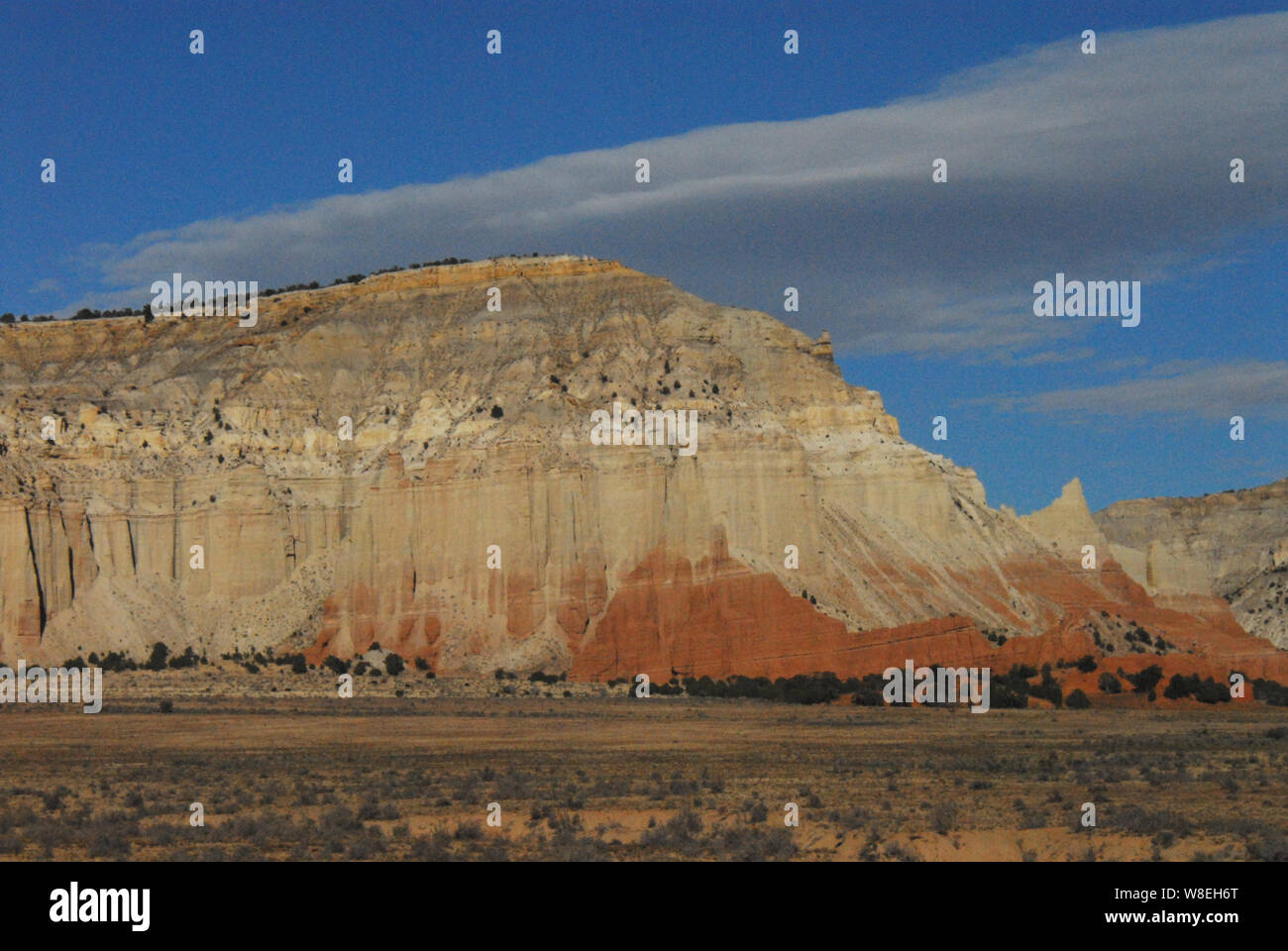 Einen schönen Blick auf kontrastierenden Farben und Formen in der Wüste von Arizona, USA. Stockfoto
