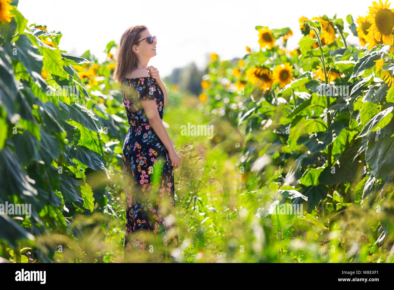 Glückliche Frau in einem Feld mit Sonnenblumen Stockfoto