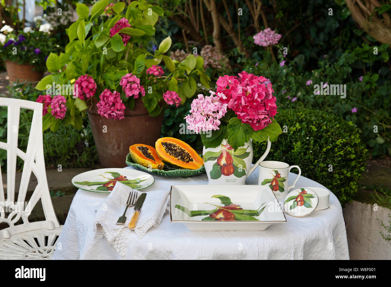 Jenny's Mein jamaikanischen Akki Sammlung auf Tisch im Garten Stockfoto