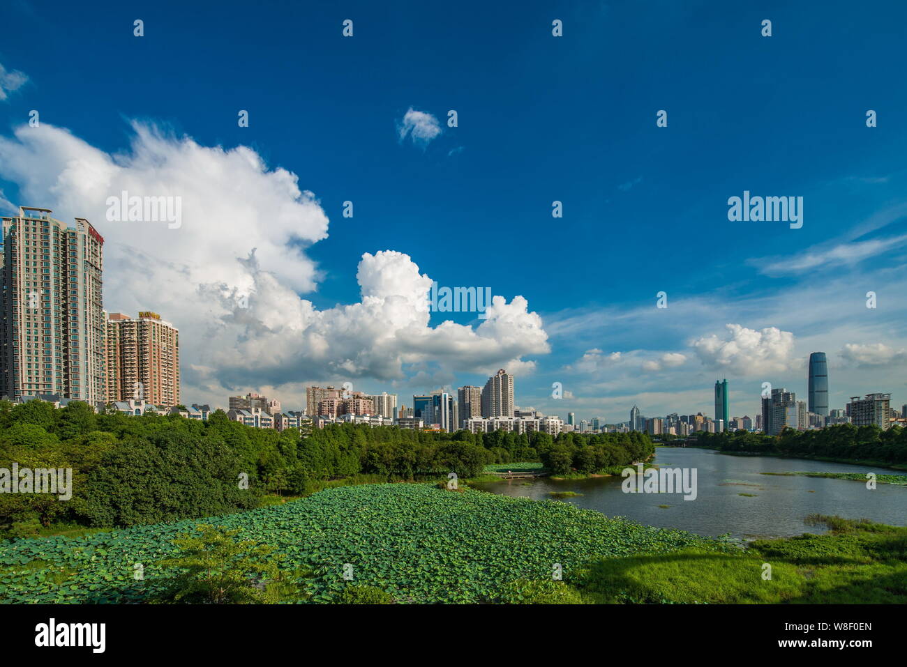 Blick auf den Park in Shenzhen Stadt Honghu, der südchinesischen Provinz Guangdong, am 5. Juli 2014. Stockfoto