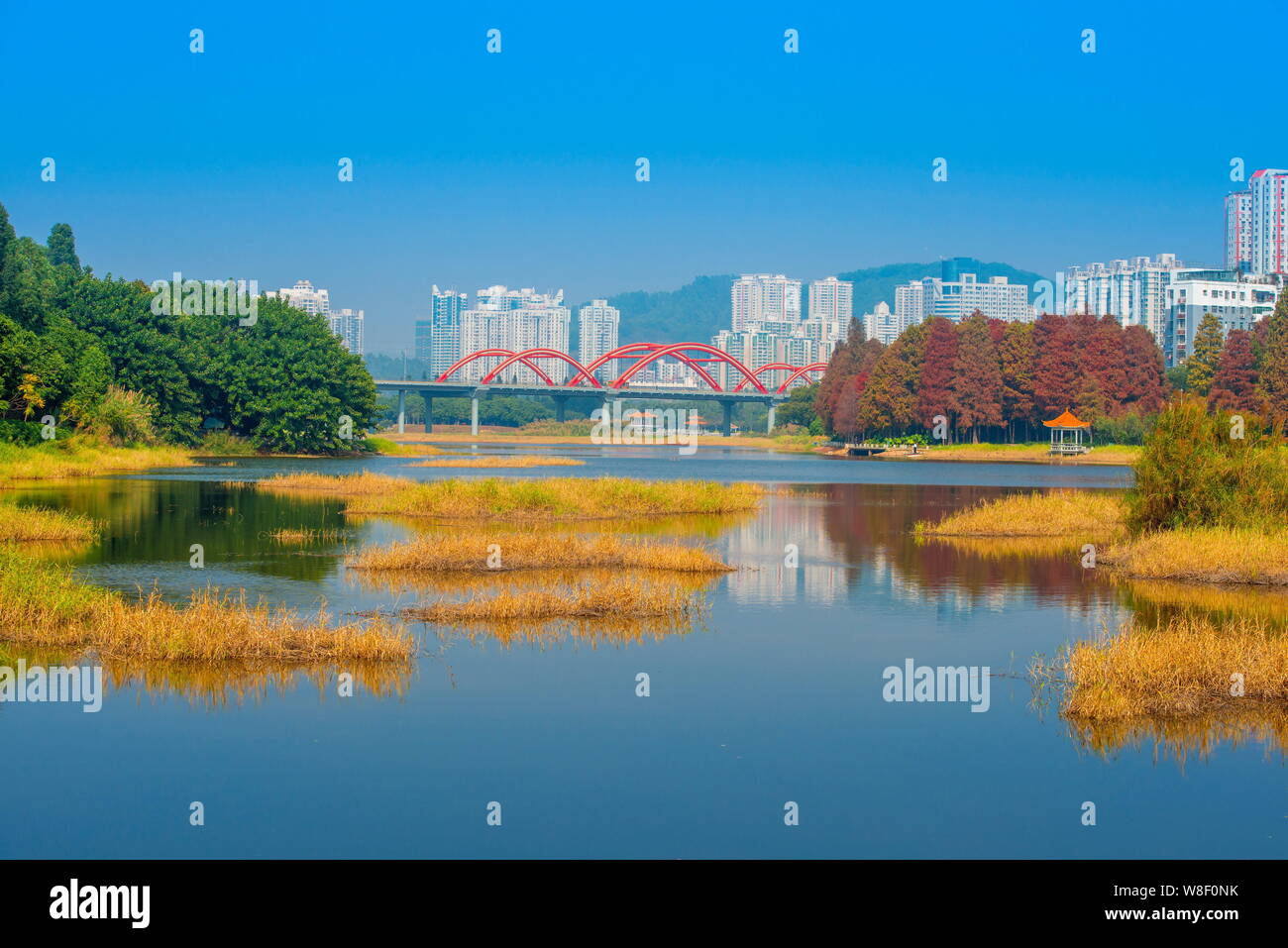 Blick auf den Park in Shenzhen Stadt Honghu, der südchinesischen Provinz Guangdong, am 6. Januar 2014. Stockfoto
