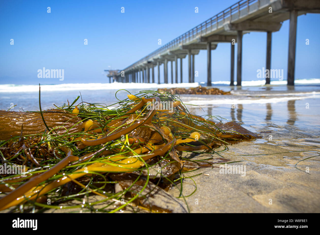 Torrey Pines, Kalifornien, USA. 5. Juli, 2019. Wellen in einem Pier an der Küste von Kalifornien (Bild: © Walter G Arce Sr Asp Inc/ASP) Stockfoto
