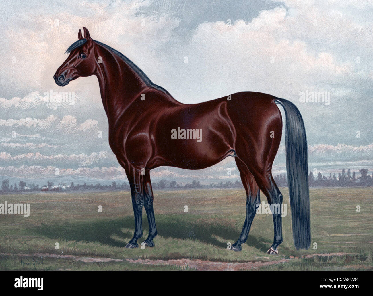 Vintage equine Artwork Stockfoto