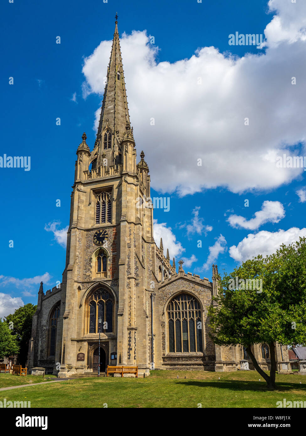St. Mary the Virgin Saffron Walden, Essex. Sie ist die größte Nicht-Domkirche in Essex. 1250 bis 1258 an früherer Holzkirche erbaut. Stockfoto