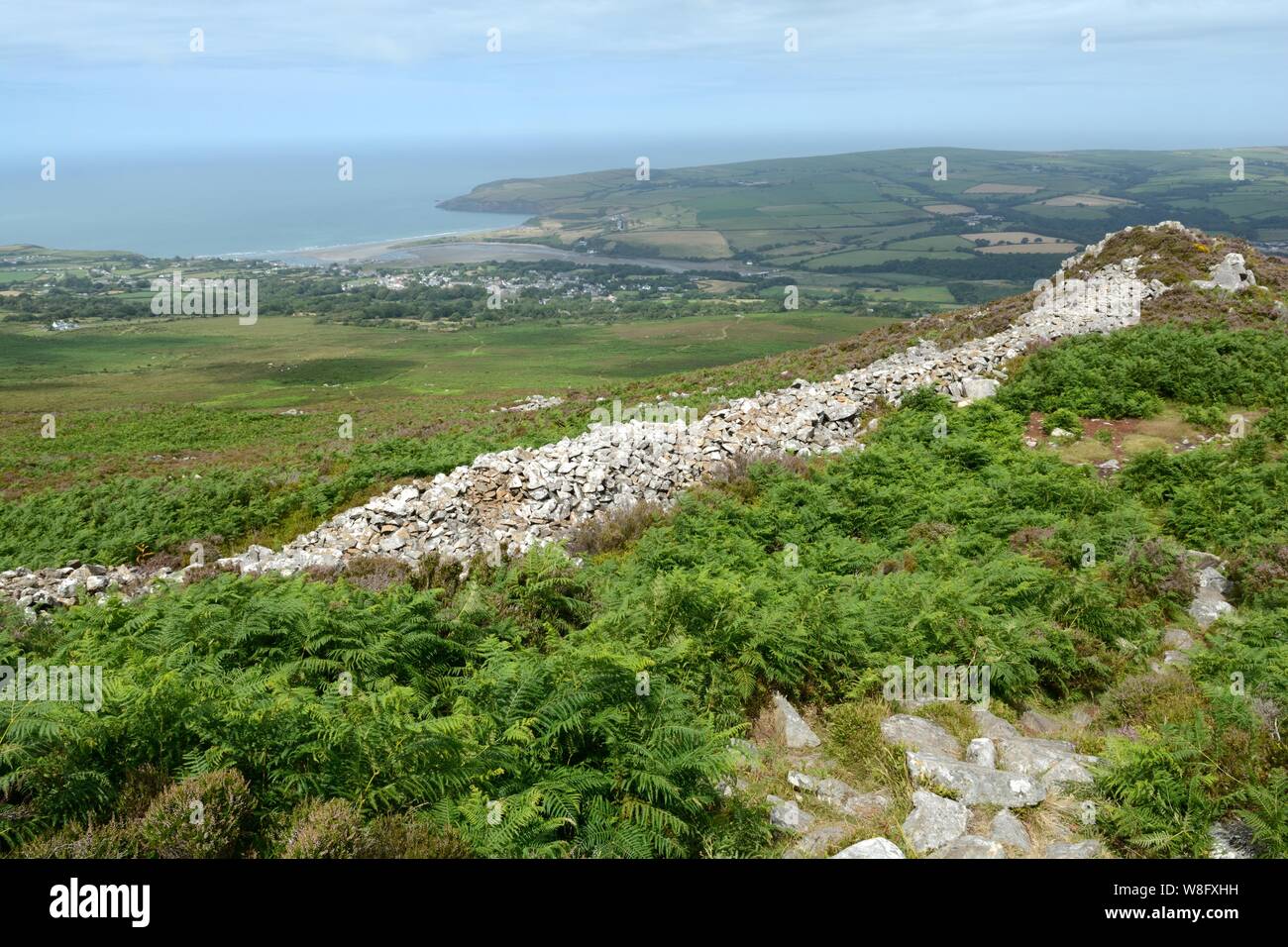 Gut erhaltene rampants von Carn Ingli Berg Fort Hill der Engel Engel Berg Carningli Pembrokeshire Nationalpark Wales Cymru GROSSBRITANNIEN Stockfoto