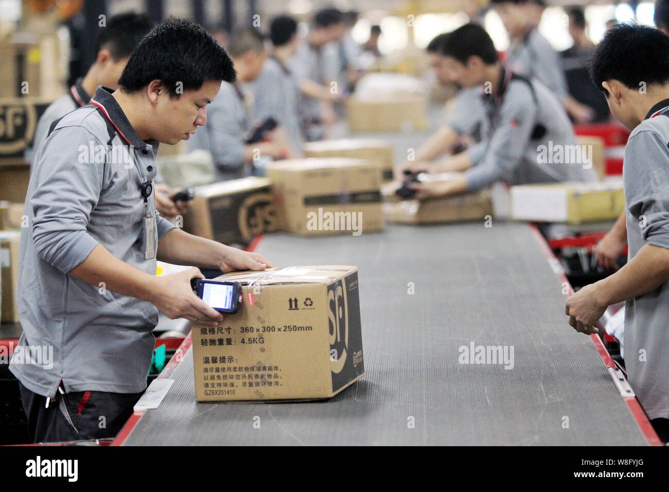 ------ Chinesische Arbeiter sortieren Pakete auf ein Distributionszentrum der SF Express in Shenzhen, der südchinesischen Provinz Guangdong, 11. November 2014. SF Stockfoto