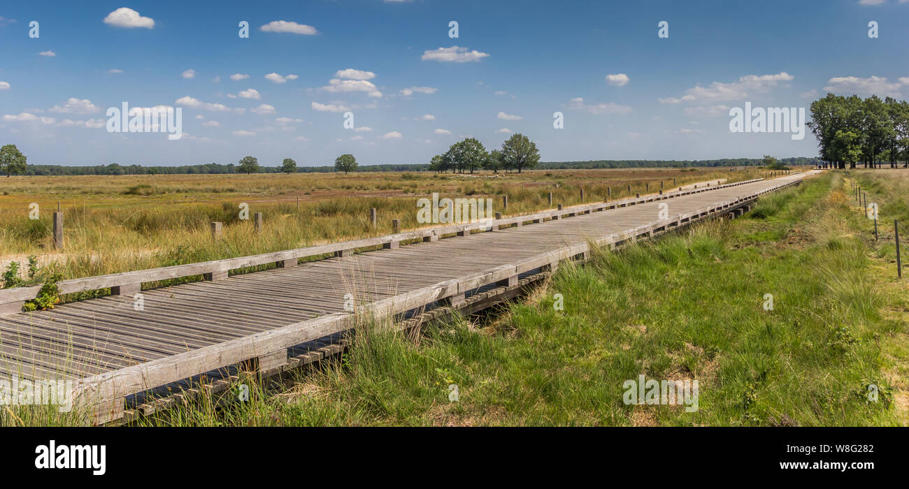 Panorama einer Holz- Fahrrad Brücke im Nationalpark Dwingelderveld, Niederlande Stockfoto