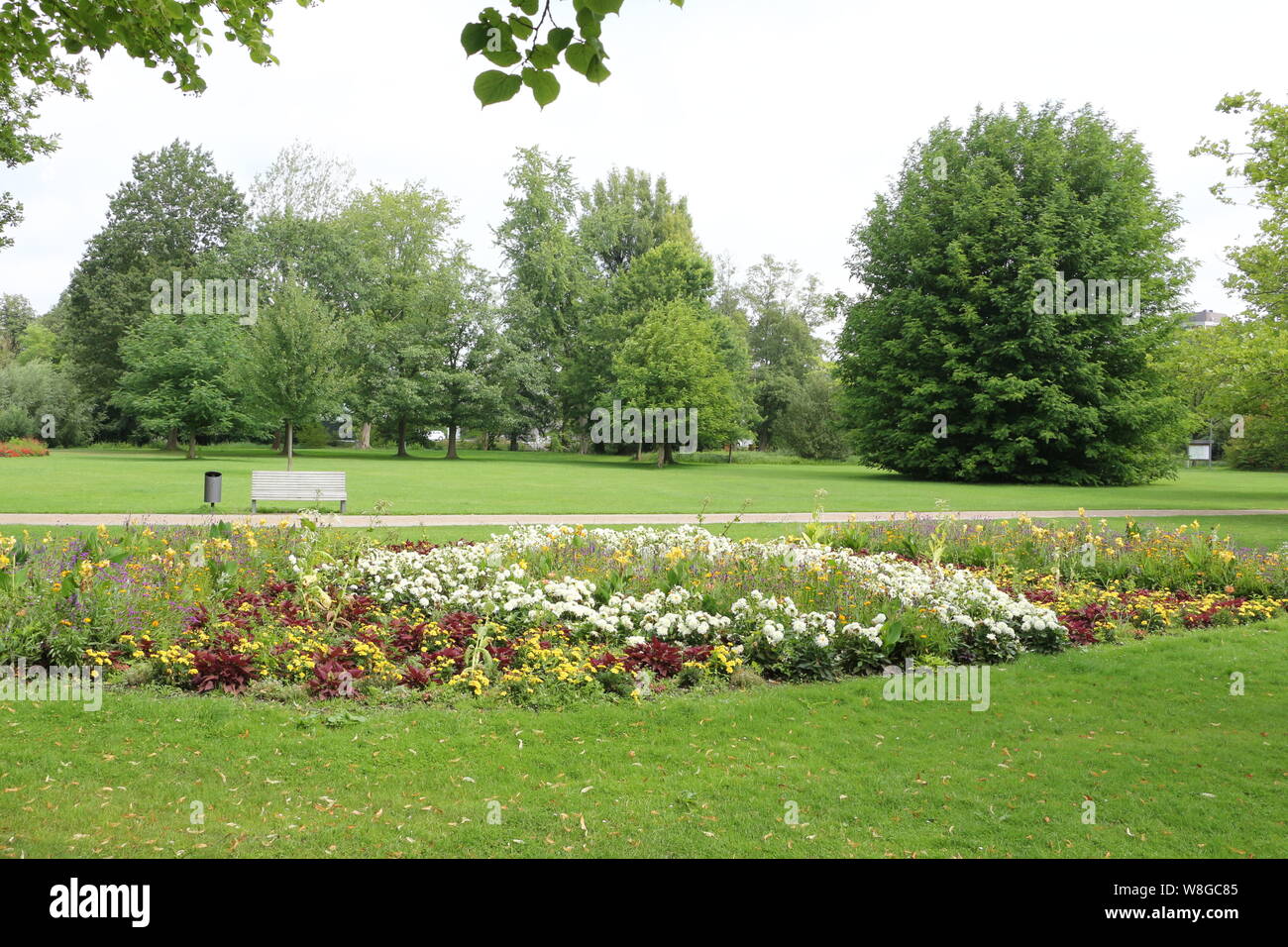 Bluhende Sommerblumen Im Kurpark Von Bad Bevensen In Der