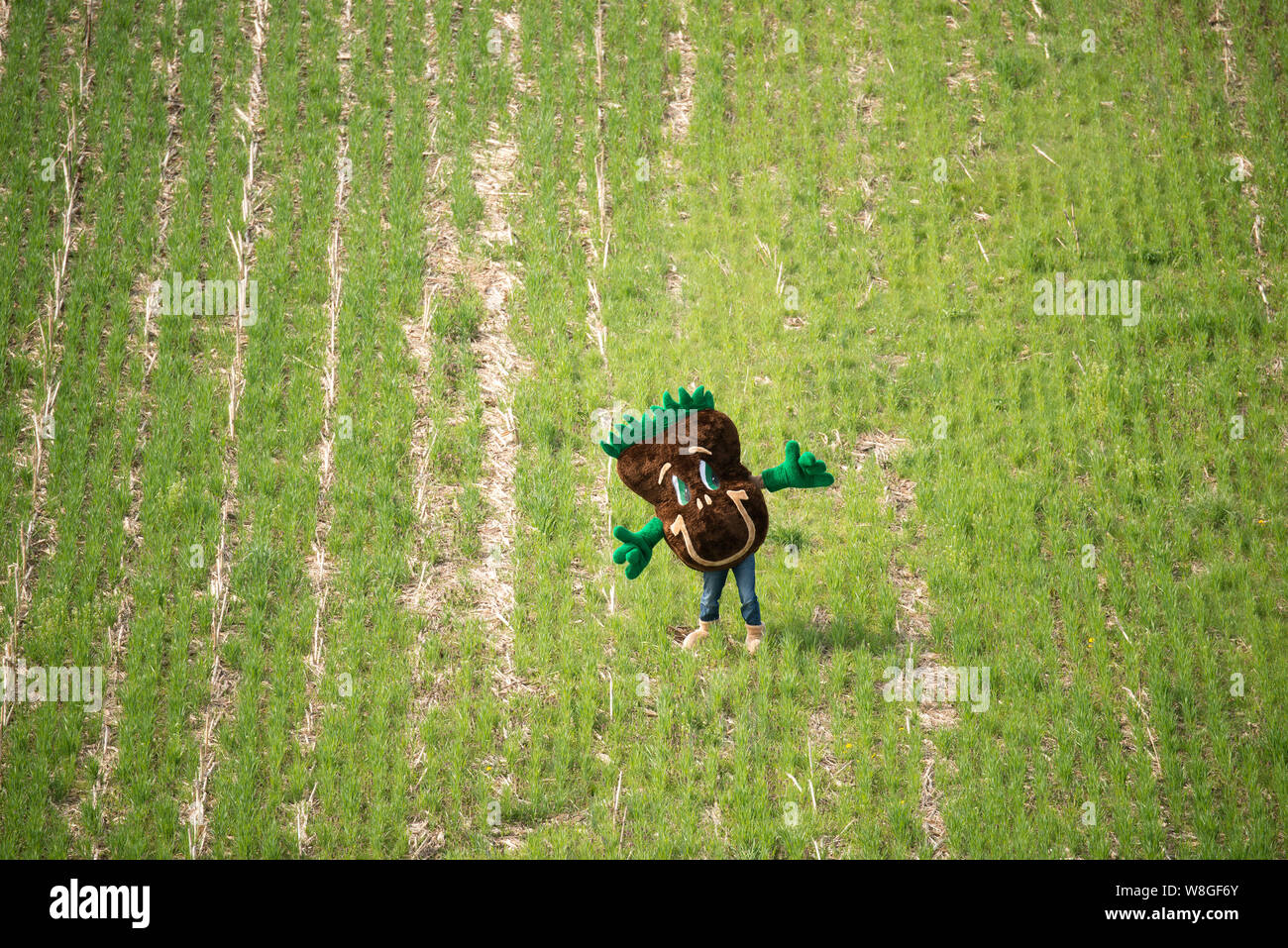 Das US-Landwirtschaftsministerium (USDA) Natural Resources Conservation Service (NRC) Maskottchen Sammy Boden in einer NO- bis Feld auf der sonnigen Rid steht Stockfoto