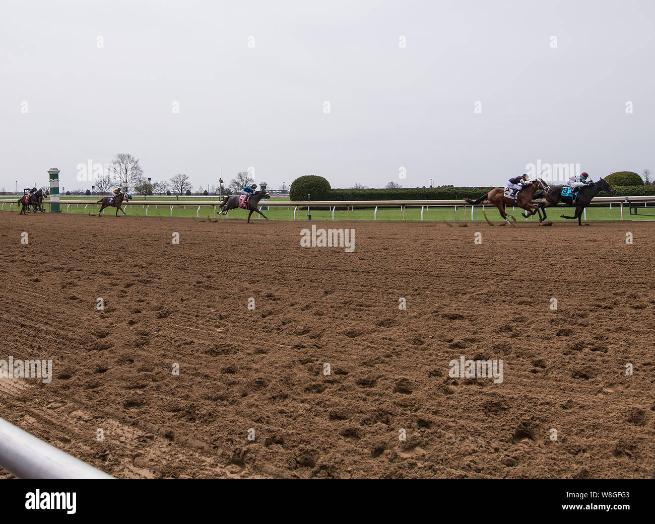 Pferde Racing bei Keeneland Rennstrecke in Lexington, KY, am 6. April 2018. Stockfoto