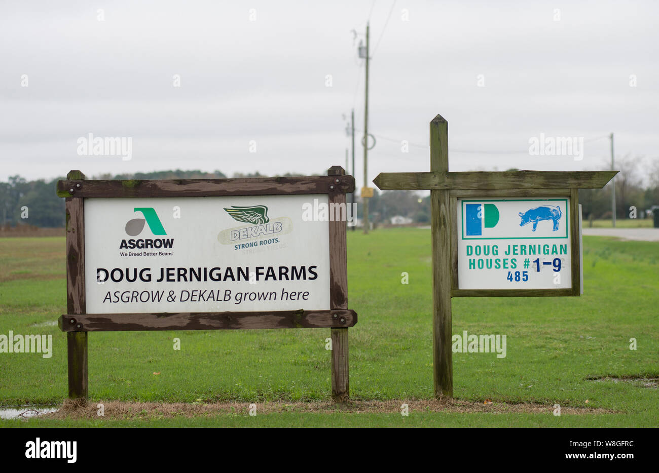 Doug Jernigan Farmen anmelden Mt. Olivenöl, NC, Dienstag, November 10, 2015. Stockfoto