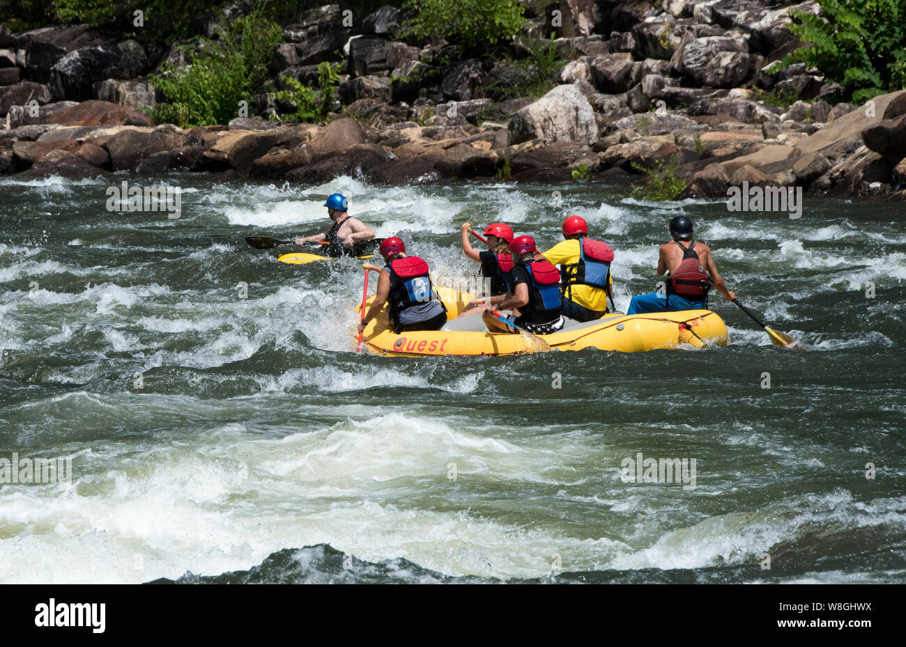 Gönner in Whitewater Rafting auf den Stromschnellen der Ocoee River im Cherokee National Forest, TN teilhaben. Stockfoto