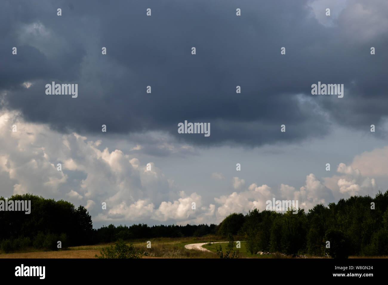 Estland Landschaft Stockfoto