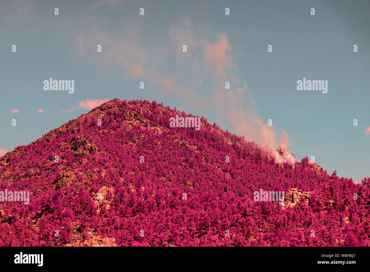 Weißer Rauch steigt nach oben in den blauen Himmel von Waldbränden. Infrarot Bild. Stockfoto