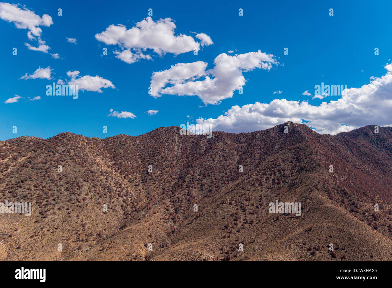 Braun tote Vegetation auf Wüste Bergen unter strahlend blauen Himmel mit weißen Wolken. Stockfoto