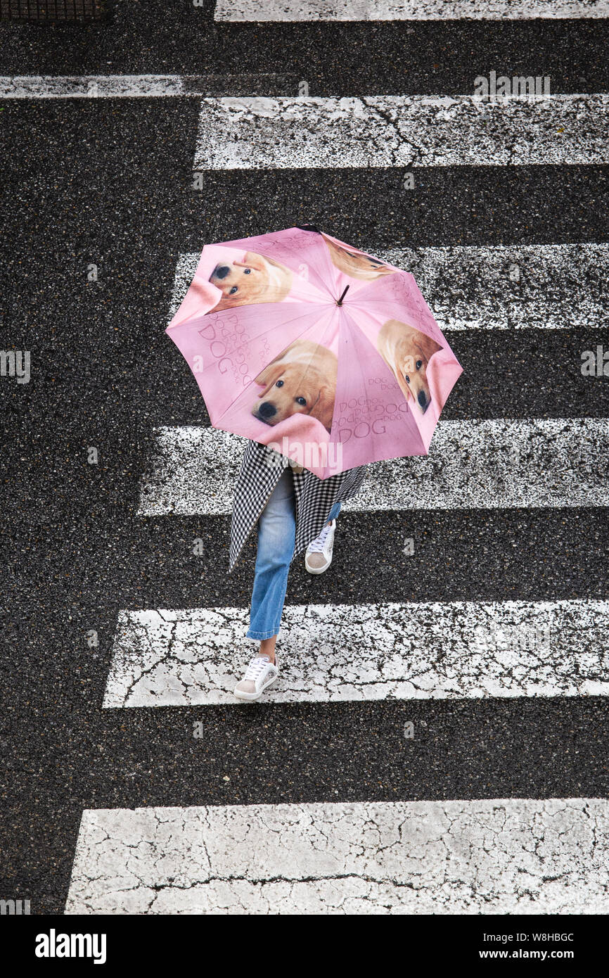 Szene einer Frau mit niedlichen Regenschirm mit Hunden über den Bürgersteig. Ansicht von oben. Regentag Konzept Stockfoto