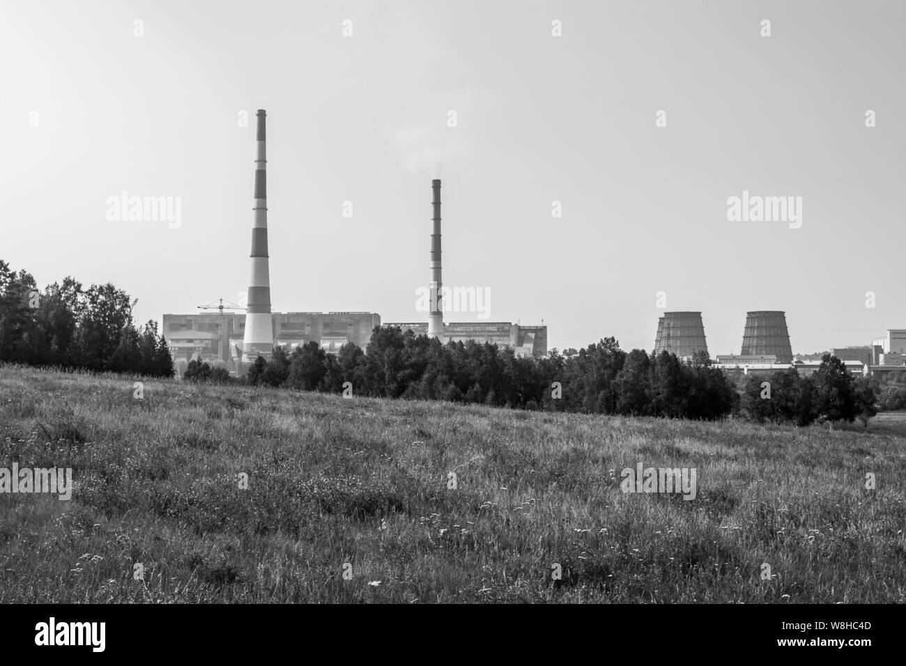 Eine Anlage mit Leitungen hinter einem Feld und Wald. Umweltprobleme. Rohre sind hoch Dünn und Dick. Schwarz und Weiß. Für Text platzieren. Stockfoto