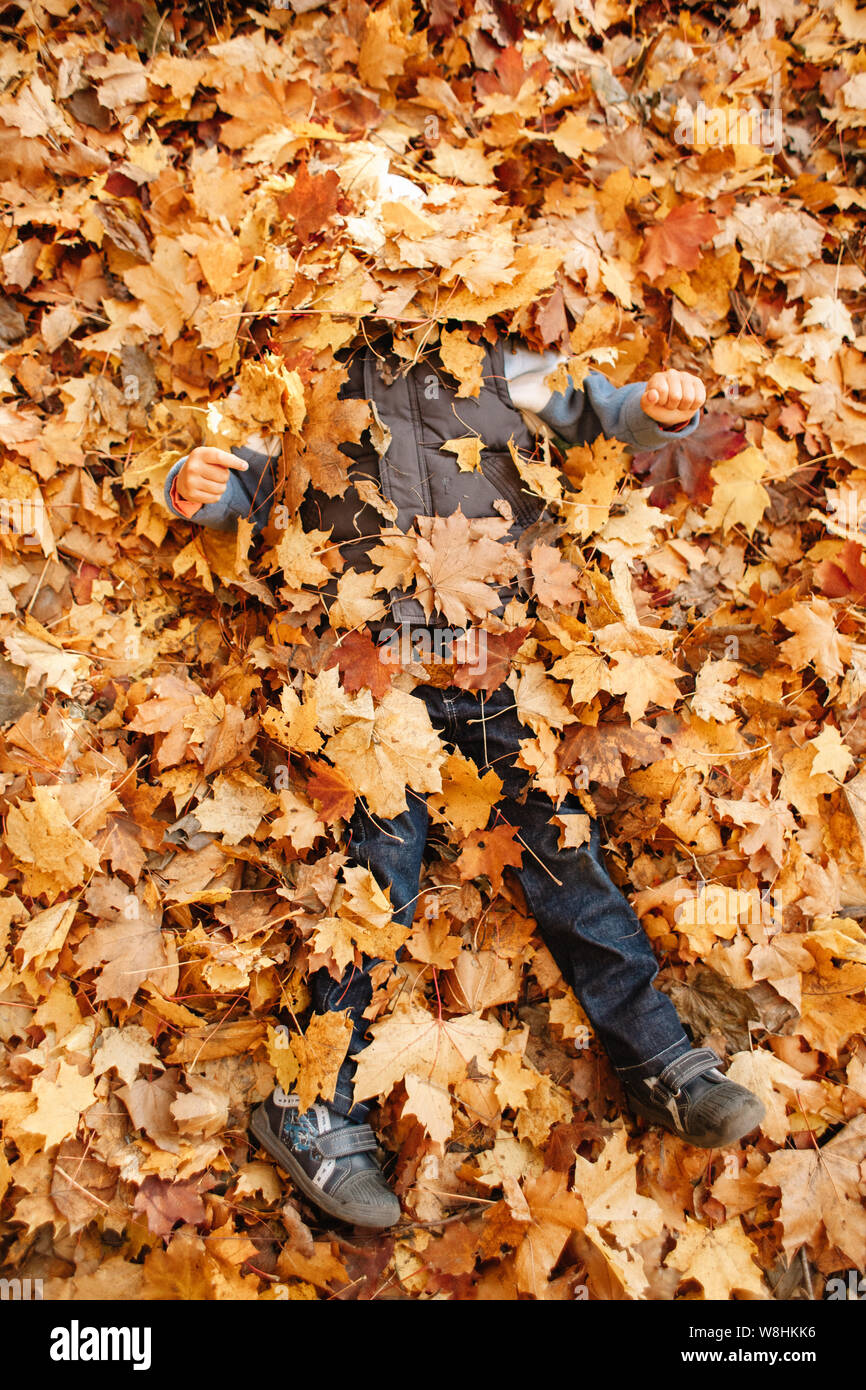 Der junge spielt im Herbst Park. Gruben sich in Laub und liegt auf dem Rücken Stockfoto