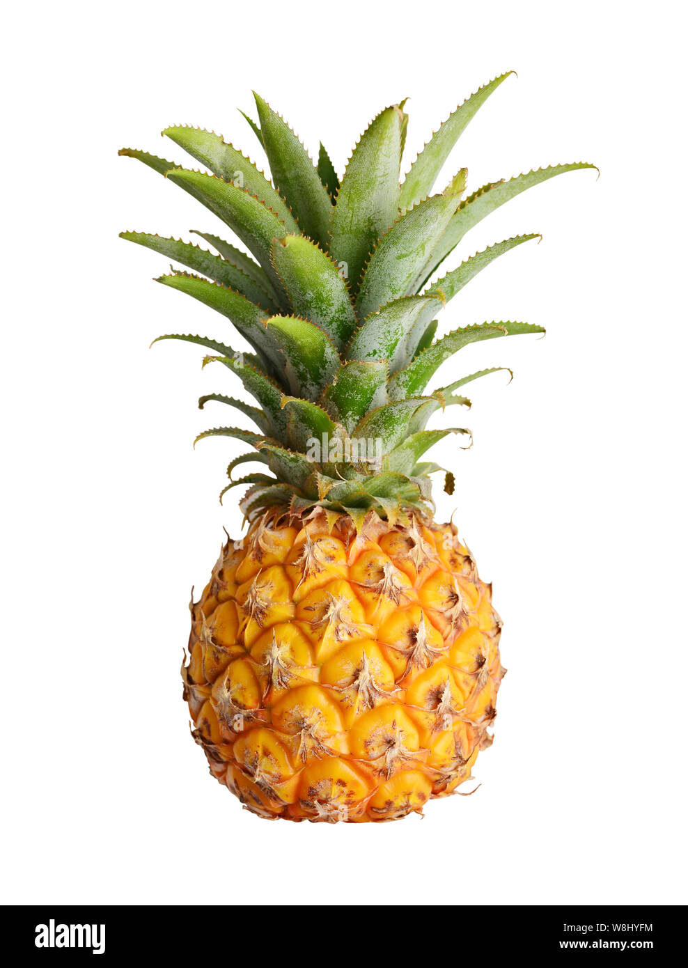 Reife Ananas isoliert auf weißem Hintergrund Stockfoto