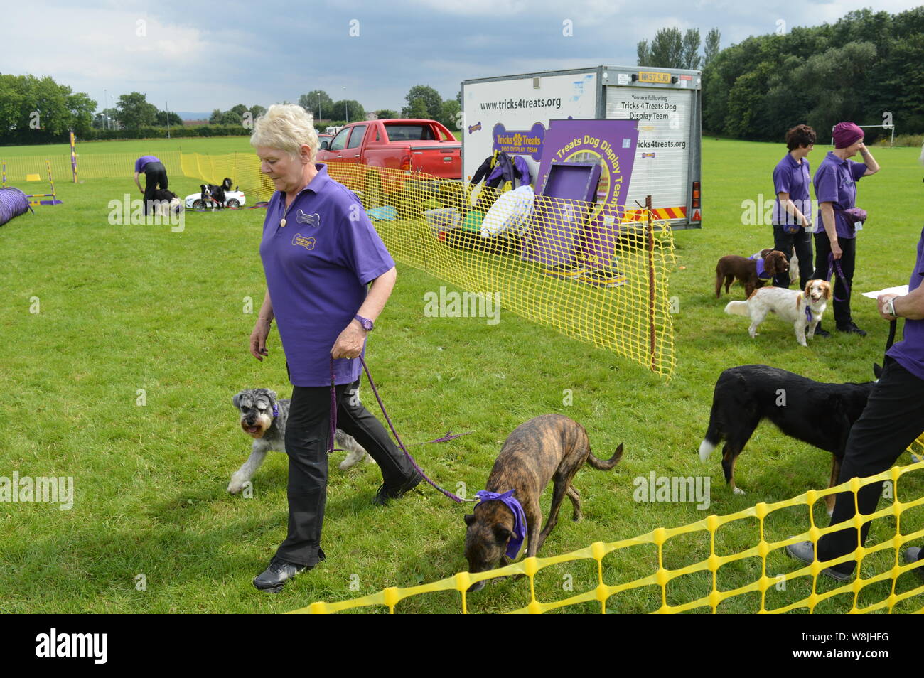 Hundeausstellung Wettbewerb in Großbritannien Stockfoto