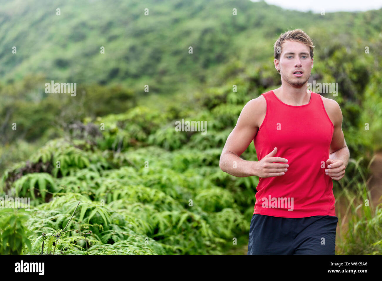 Athleten männlichen Läufer Trail Running training cardio Workout in der Natur im Freien im Sommer Wald landschaft. Jung gesund und fit Mann Joggen durch Büsche und Bäume in der Wüste. Stockfoto