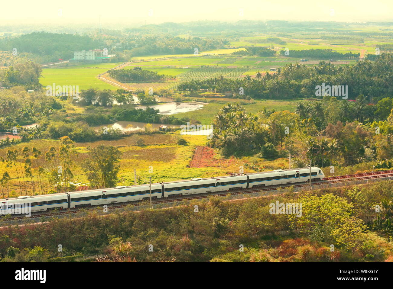 Ein CRH (China Railway High speed) Bullet Zug fährt auf der Hainan östlichen Ring High-Speed Railway durch ein Meer von blühenden Bäume in der Stadt Qionghai Stockfoto