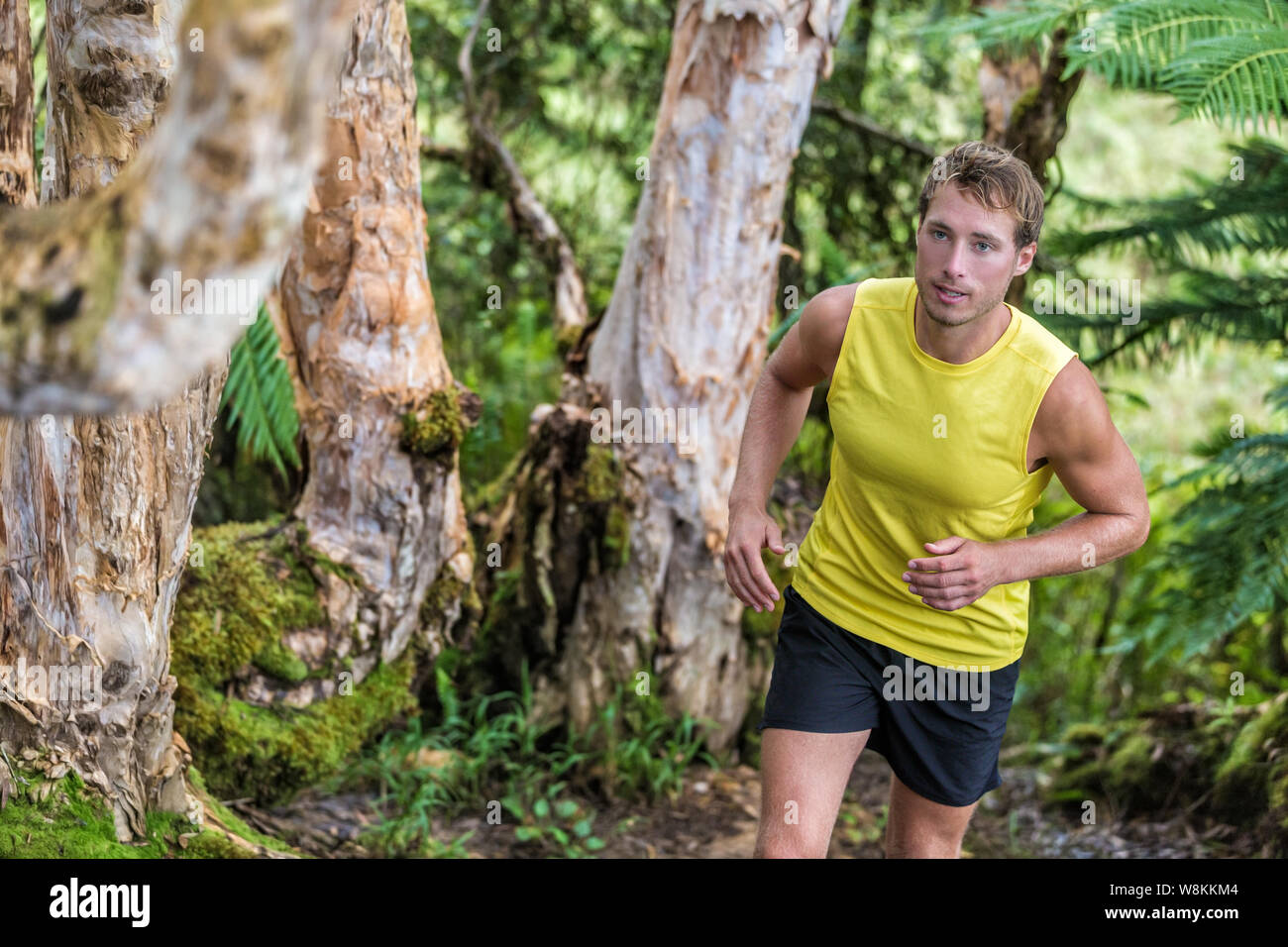 Trail Running man Athlet Runner im Wald Natur Pfad Jogging entlang Bäume im Sommer Landschaft. Männliche Sport Fitness fit Kerl harten Trainings Ausübung Schwitzen ein gesundes und aktives Leben. Stockfoto