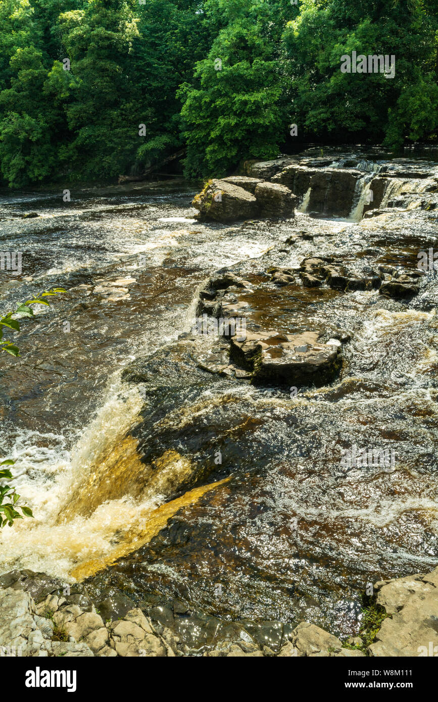 Aysgarth fällt in den Yorkshire Dales National Park sind eine dreifache Flucht der Wasserfälle von Wald und Ackerland umgeben, Stockfoto