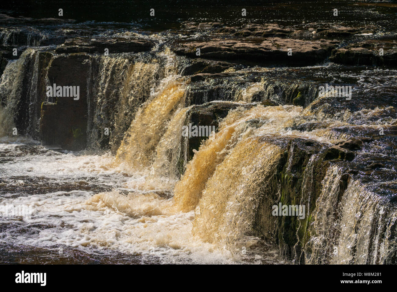 Aysgarth fällt in den Yorkshire Dales National Park sind eine dreifache Flucht der Wasserfälle von Wald und Ackerland umgeben, Stockfoto