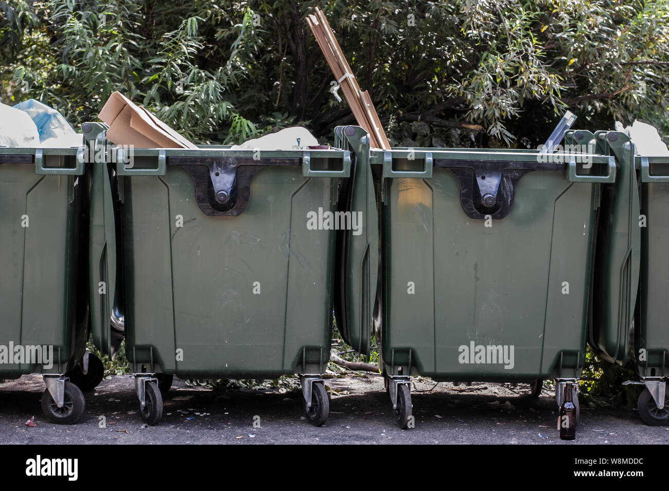 Mülleimer in der Nähe von Grün der Bäume in einer Stadt auf Asphalt Stockfoto