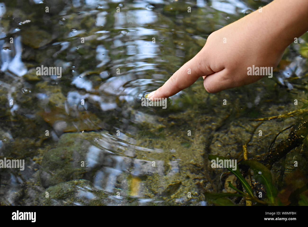 Nahaufnahme von Frau finger berühren kristallklaren Fluss Oberfläche - Wasser/konzeptionellen Bild der Ökologie Stockfoto