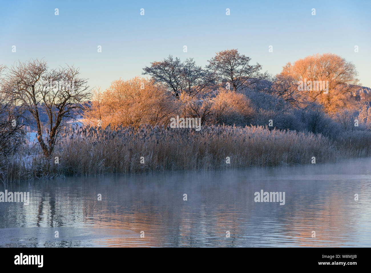 Mystische Landschaft von einem kleinen Teich im bayerischen Allgäu Stockfoto