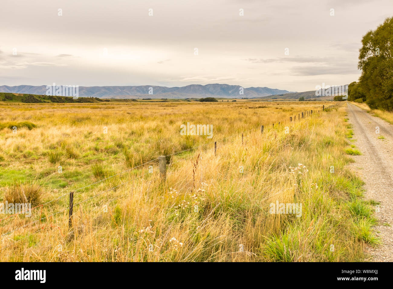 Die weiten grünen Wiesen durch die Seite der Otago Rail Trail, Radweg, Otago, Neuseeland, niemand im Bild Stockfoto