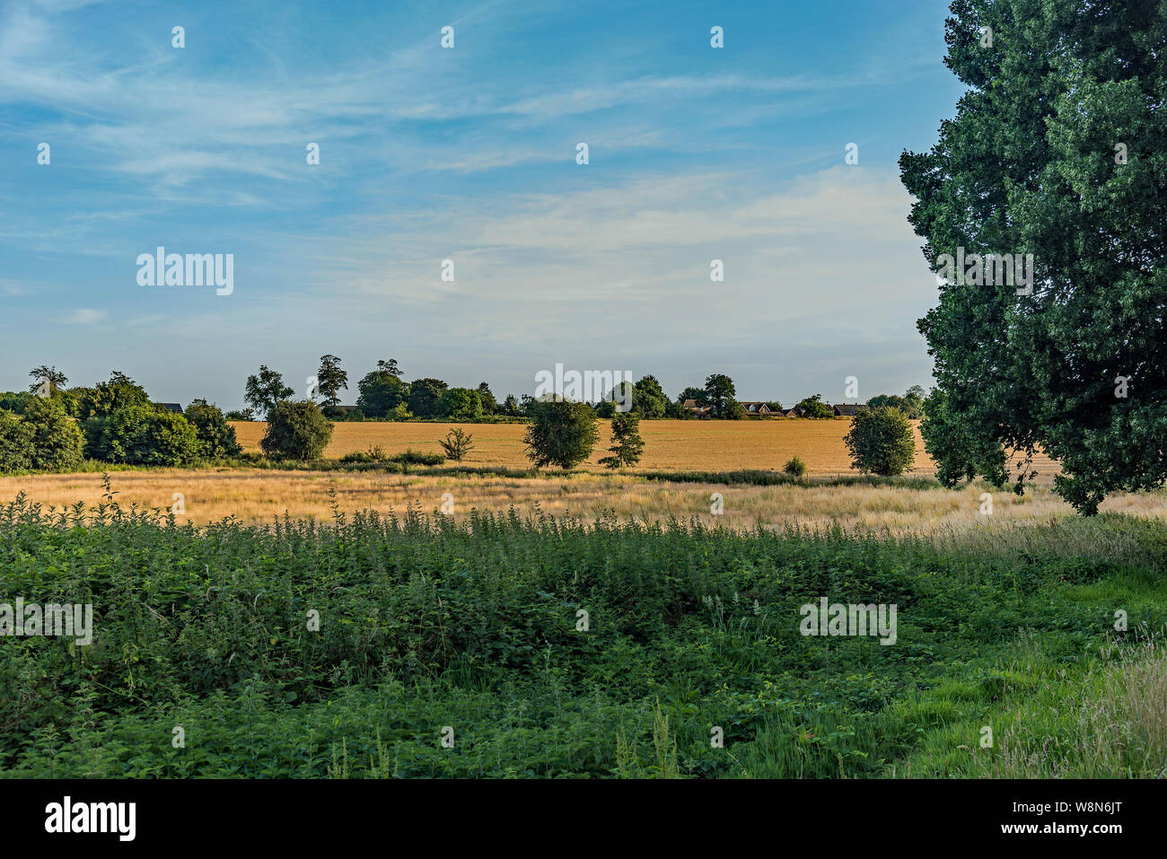 Landschaft aus Kalk Lane-Cobham Hall, Kent, Großbritannien Stockfoto