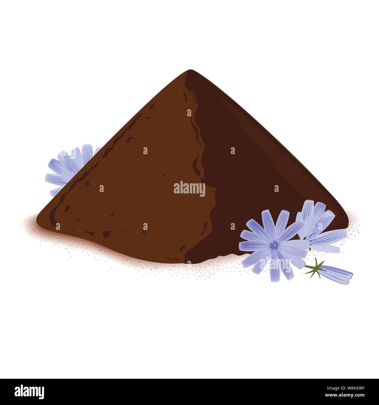 Instant wegwarte Wurzel Pulver, und Frisch geröstete Zichorien Blumen. Natürliche Quelle von Inulin, gesunde Hintergrund Stock Vektor